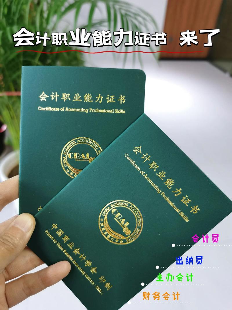 做账报税